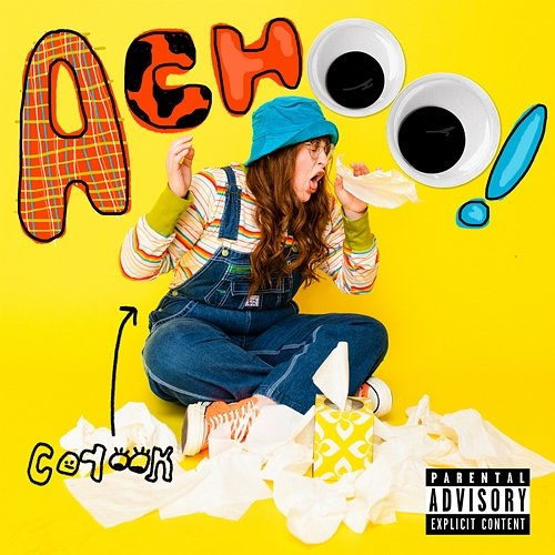 achoo! corook