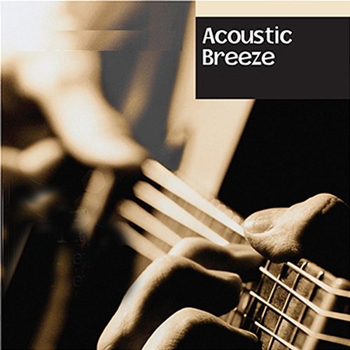 Acoustic Breeze Instrumental Society