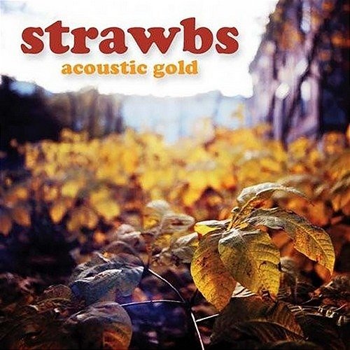 Acoustic Gold Strawbs