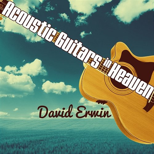 Acoustic Guitars in Heaven David Erwin