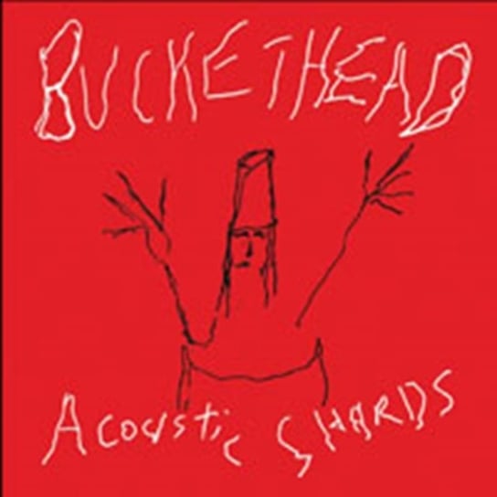 Acoustic Shards Buckethead