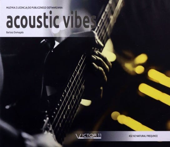 Acoustic Vibes Various Artists