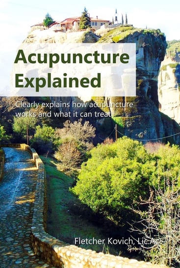 Acupuncture Explained Fletcher Kovich