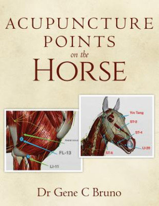 Acupuncture Points on the Horse Dr Gene C Bruno
