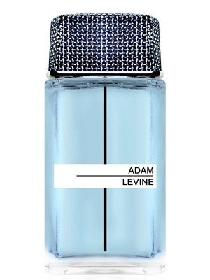 Adam Levine, For Men, woda toaletowa, 100 ml Adam Levine