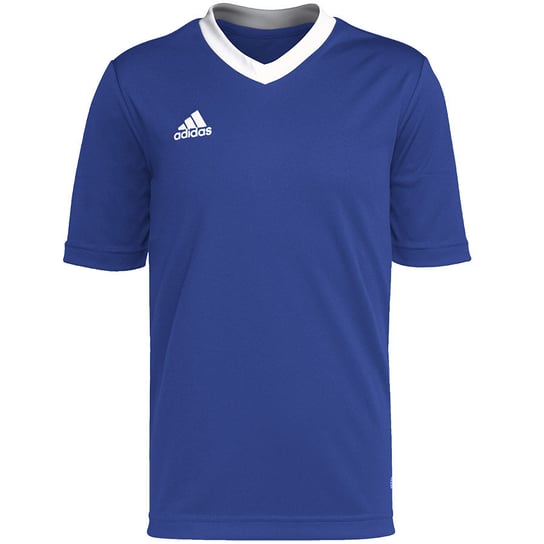 Adidas, Koszulka dziecięca Entrada 22 HG3948, niebieski, rozmiar 164 Adidas