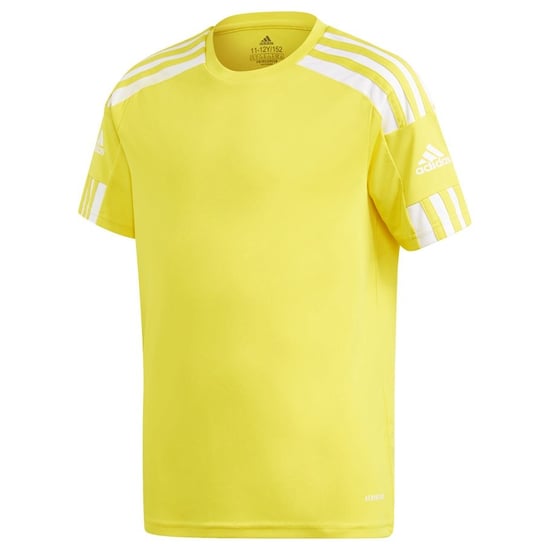Adidas, Koszulka męska, Squadra 21 Jsy Y Gn5744, rozmiar 116 cm Adidas