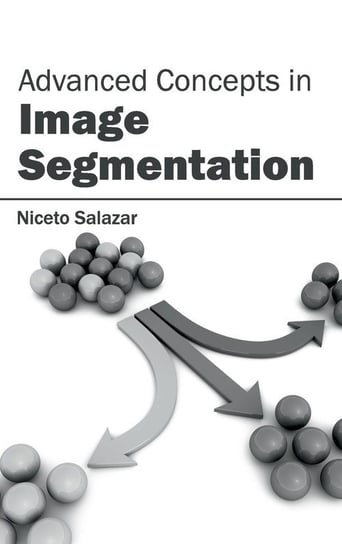 Advanced Concepts in Image Segmentation Null