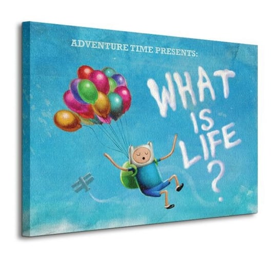 Adventure Time - What is Life? - obraz na płótnie Adventure Time