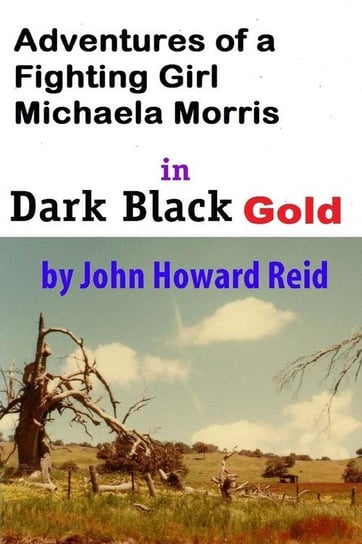 Adventures of a Fighting Girl Michaela Morris in Dark Black Gold Reid John Howard