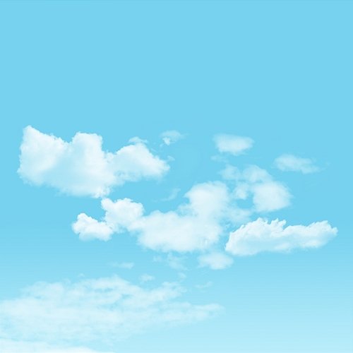 Aeralea Flying Ash