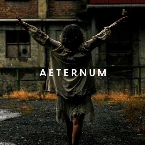 Aeternum Remy van Kesteren, Nicholas Sillitoe feat. Anne Marie Almedal