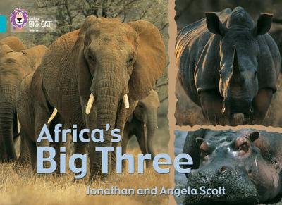 Africa's Big Three Jonathan Scott