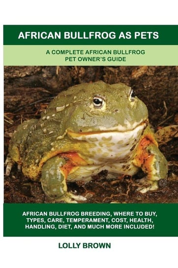 African Bullfrog as Pets Brown Lolly