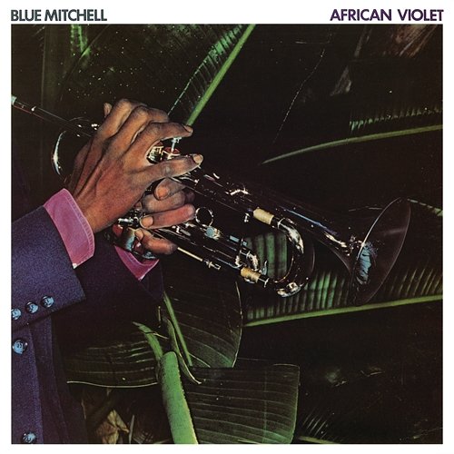 African Violet Blue Mitchell