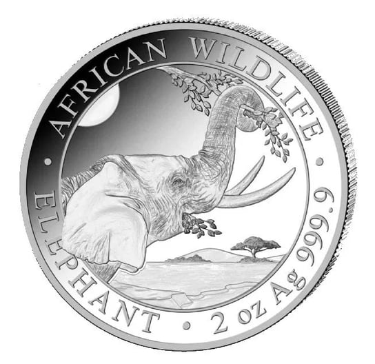 African Wildlife Słoń Somalijski 2 uncje srebra 2023 Inna marka
