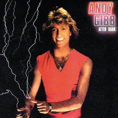 After Dark Andy Gibb