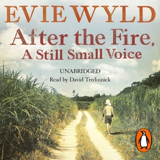 After the Fire, A Still Small Voice - audiobook Wyld Evie