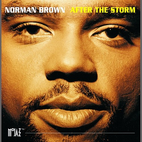 After The Storm Norman Brown