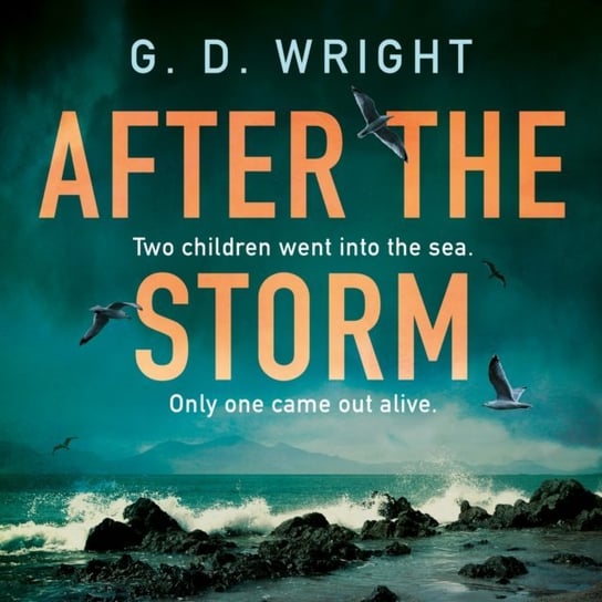 After the Storm Wright G. D.