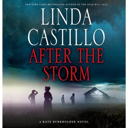 After the Storm Castillo Linda