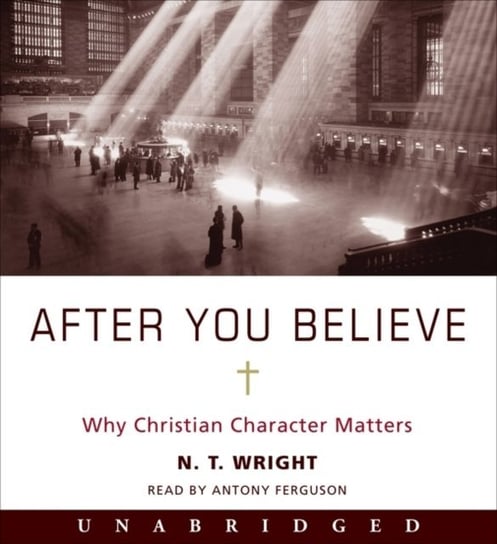 After You Believe Wright N. T.