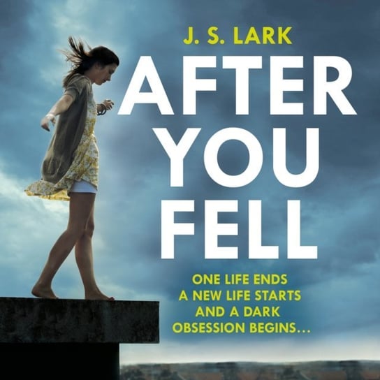After You Fell Lark J.S.