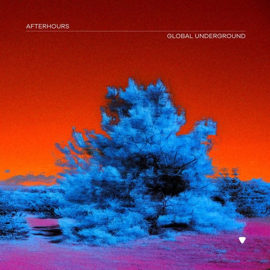 Afterhours 9 (Vinyl Edition) Global Underground