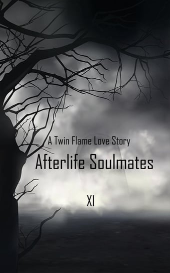 Afterlife Soulmates - ebook epub XI