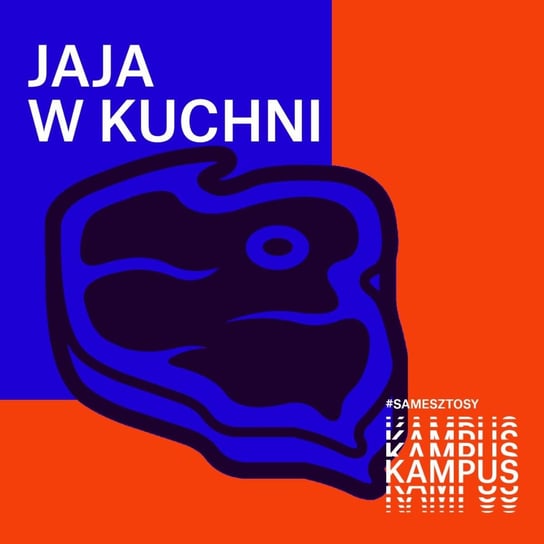 Agata Wojda - Jaja w kuchni - podcast - audiobook Radio Kampus, Kuc Marcin