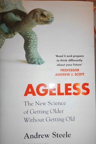 Ageless Steele Kathy