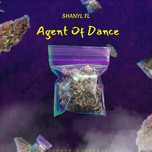 Agent Of Dance Shanyl FL