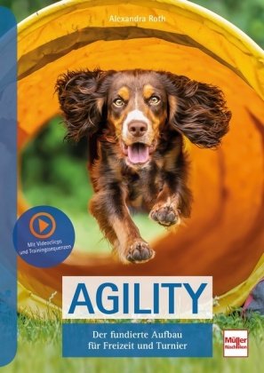Agility Müller Rüschlikon