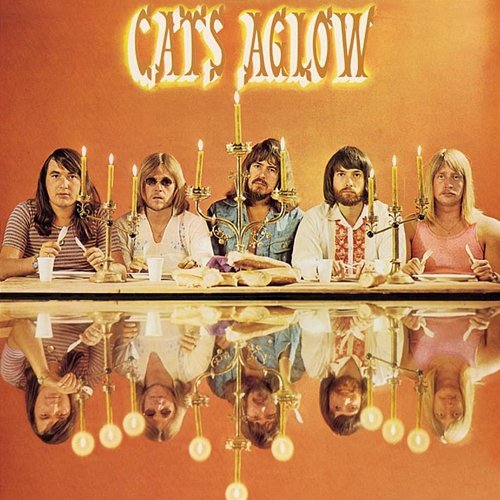 Aglow The Cats
