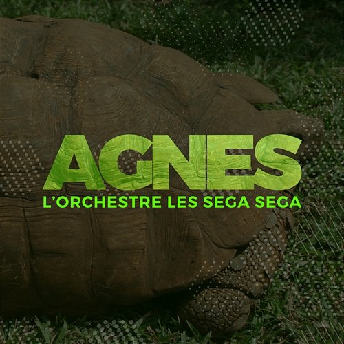 Agnes L'Orchestre Les Sega Sega