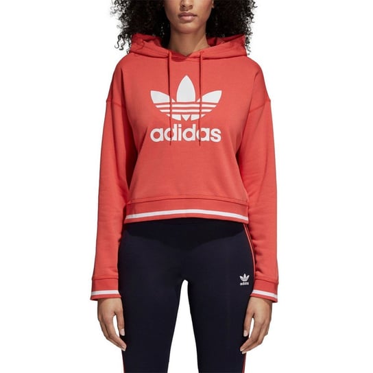 AI Hoody Adidas
