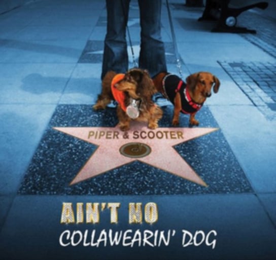 Ain't No Collawearin' Dog Piper & Scooter