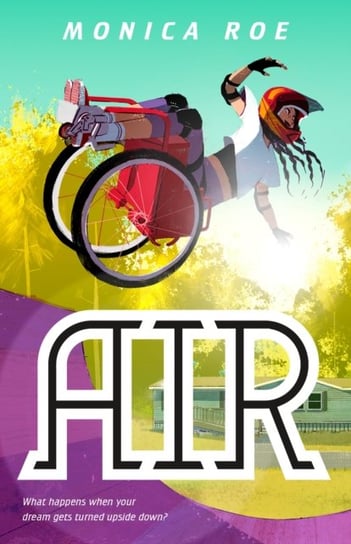 Air: A Novel Monica Roe