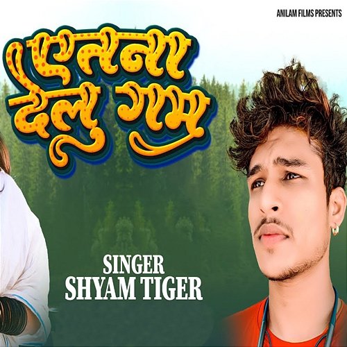 Aitna Delu Gam Shyam Tiger