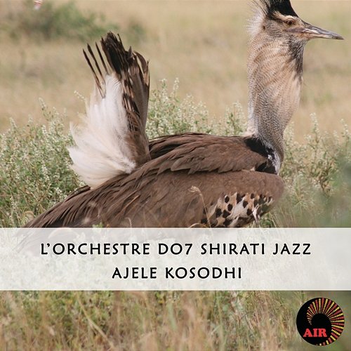 Ajele Kosodhi L'Orchestre D.O.7 Shirati Jazz