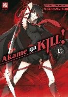 Akame ga KILL! 15 Takahiro, Tashiro Tetsuya