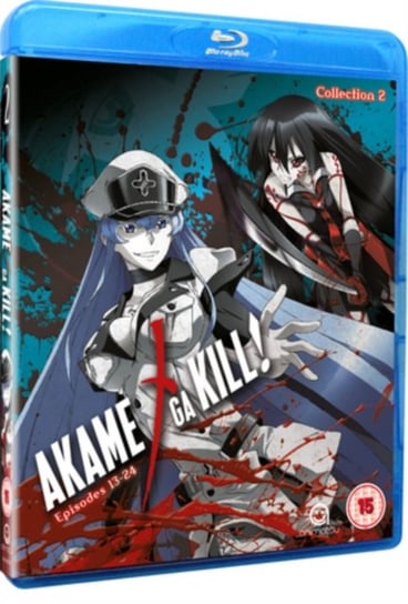 Akame Ga Kill: Collection 2 (brak polskiej wersji językowej) Kobayashi Tomoki