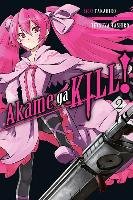 Akame ga KILL!, Vol. 2 Takahiro