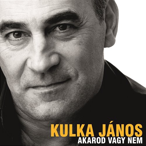 Akarod vagy nem (Nem Vem Que Nao Tem (Tu veux ou tu veux pas)) János Kulka