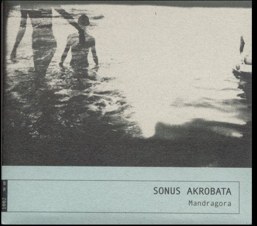 Akrobata Mandragora Sonus