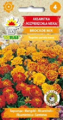 Aksamitka rozpierzchła niska Brocade mix 1 g. Toraf