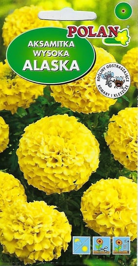 Aksamitka wysoka pełna Alaska Cytrynowa 2 g POLAN PlantiCo