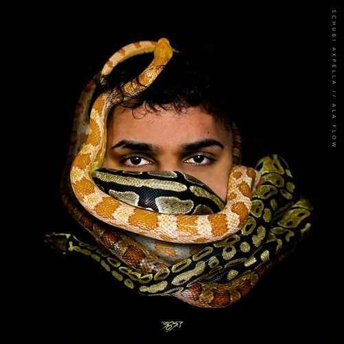 Ala Flow Schubi AKpella