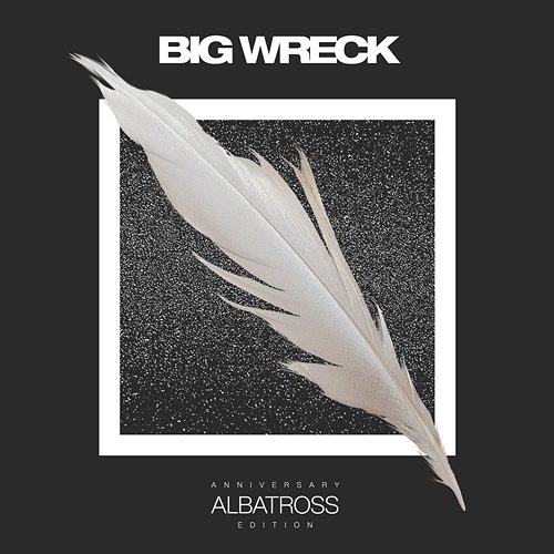 Albatross Big Wreck