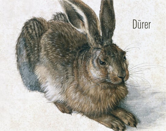 Albrecht Durer. 5 reprodukcji w passe-partout Opracowanie zbiorowe